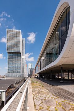 The Rotterdam and Las Palmas, Rotterdam by John Verbruggen