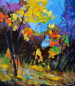 Herfstlicht in het bos van pol ledent