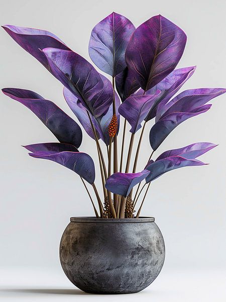 Plant in a pot by haroulita