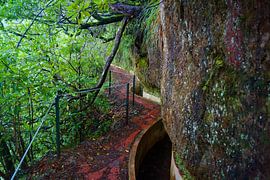 Levada do Furado by Michel van Kooten