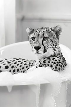 Gepard in der Badewanne - Ein lustiges Badezimmer Bild von Felix Brönnimann