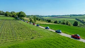 Hässliche Entlein auf den Hügeln Südlimburgs