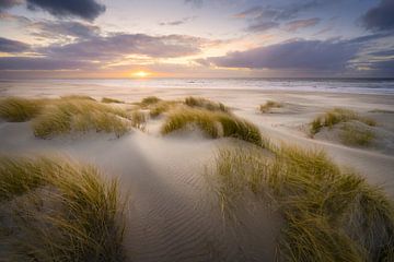 De la terre à la mer