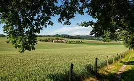 Typisch Limburgs Landschap in de buurt van Walem von John Kreukniet