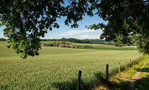 Typisch Limburgs Landschap in de buurt van Walem von John Kreukniet