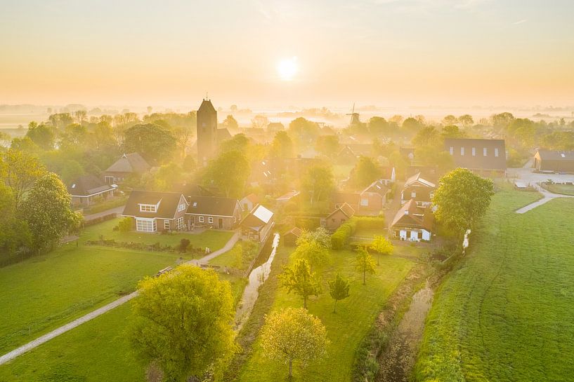 Garnwerd tijdens Zonsopkomst van Droninger