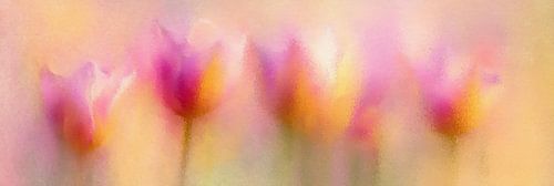 Tulpen in Ochtendgloed van Whale & Sons