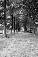 Der Weg in die Unendlichkeit