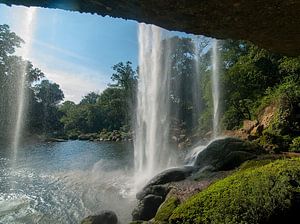 Salto de Agua: Cascada de Misol-Ha