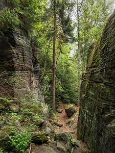 Bielatal, Sächsische Schweiz - Felswände am Hinteren Wiesenstein