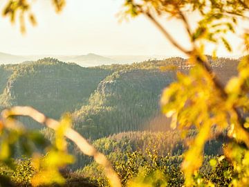 Kipphornaussicht, Sächsische Schweiz – Falkonier- und Heringsgrund von Pixelwerk