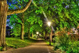 Stadsplantsoen in de Lente von Kei(stad) Donker