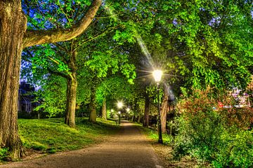 Stadsplantsoen in de Lente von Kei(stad) Donker