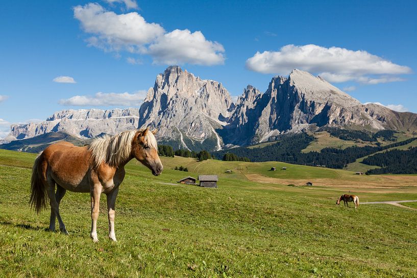 Seiser Alm by Bart van Dinten