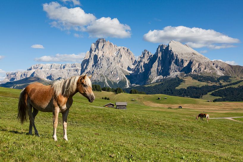 Seiser Alm von Bart van Dinten