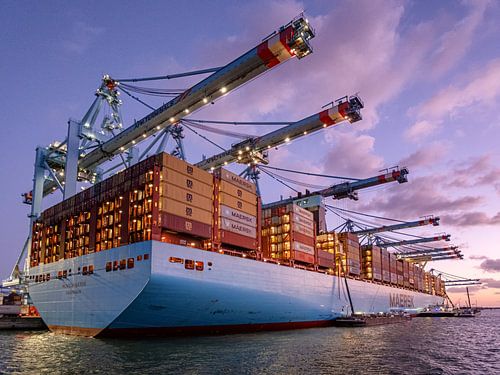 Containership 5