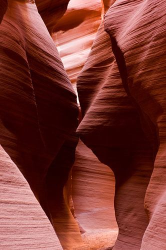 Secret Canyon