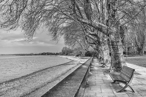 Radolfzell - Mettnaupark aan de oevers van het Bodenmeer
