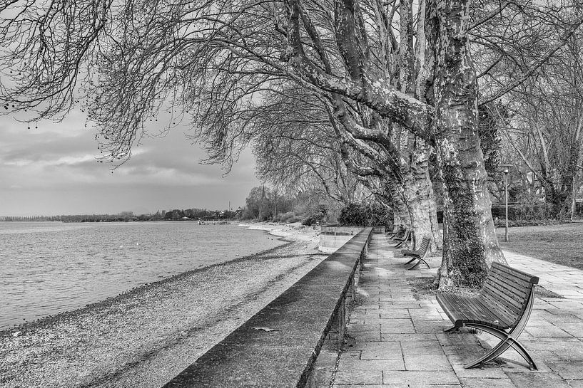 Radolfzell - Mettnaupark avec les rives du lac de Constance par BlattArt - Christine Horn