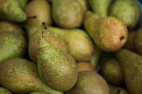 Peren 