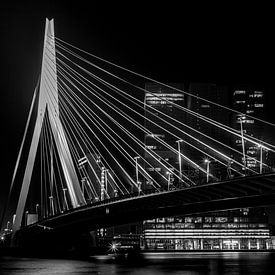 Erasmusbrücke von Albert Mendelewski