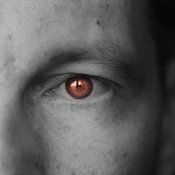 Mike Friedrichs Profile picture