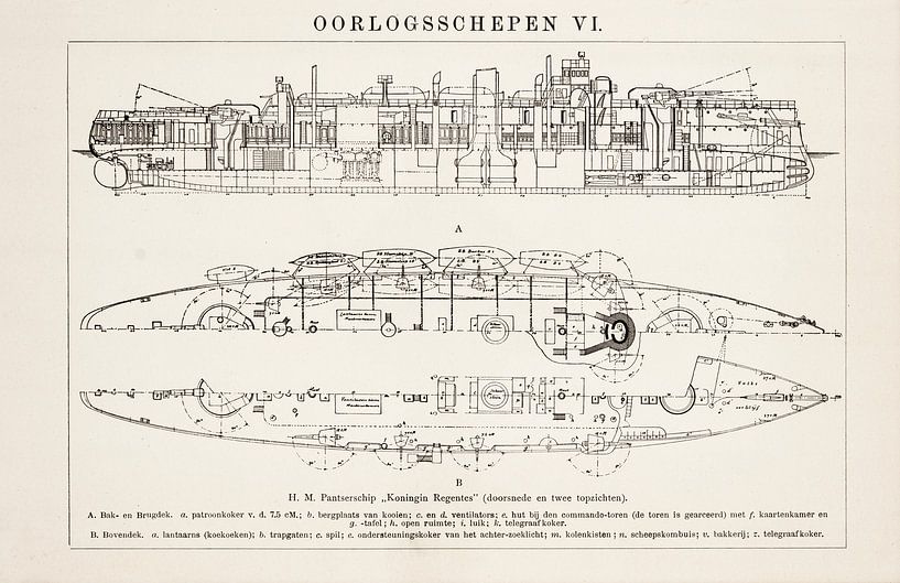 Vintage gravure Hr.Ms. Koningin Regentes van Studio Wunderkammer