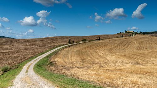 Toscaanse landschap met slingerend grindpad naar top van heuvel