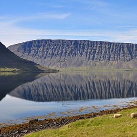 IJSland, Vestfjardavegur,  Mirror sur Yvonne Balvers