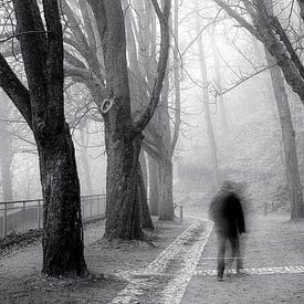 Benebelter Schlossberg Freiburg von Patrick Lohmüller