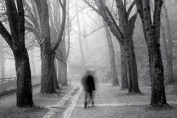 Benebelter Schlossberg Freiburg