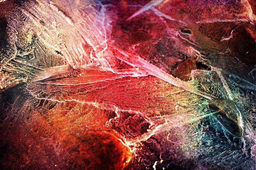 Everywhere by Randi Grace Nilsberg