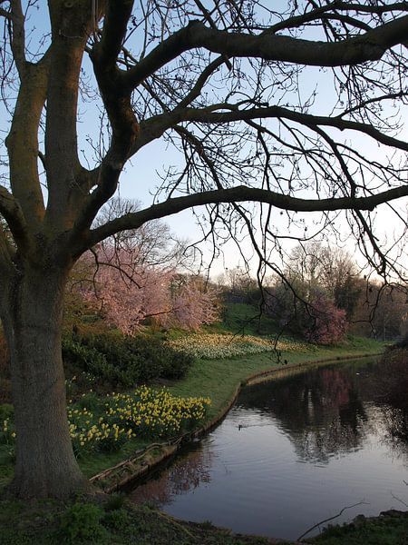Spring colors in Zuiderpark by Rinke Velds