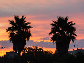 Zonsondergang met palmbomen