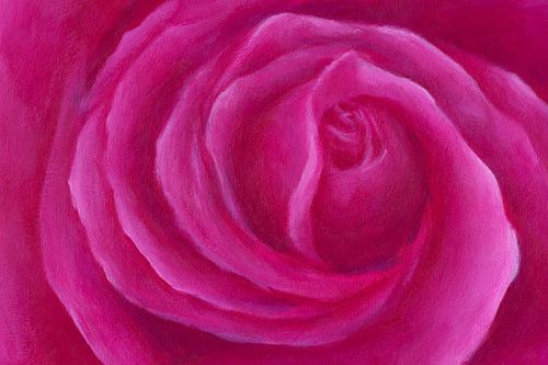 Roze roos spiraal van Karen Kaspar