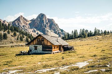 Berghut in natuurpark Fanes-Sennes-Braies in de Dolomieten (Italië) van Expeditie Aardbol