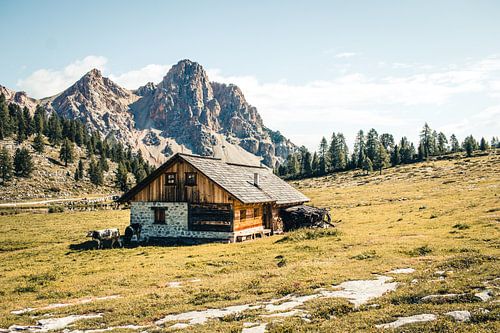Berghütte im Naturpark Fanes-Sennes-Prags in den Dolomiten (Italien)