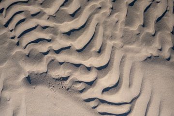 Zandpatronen op het strand van de wind die over het zand blaast