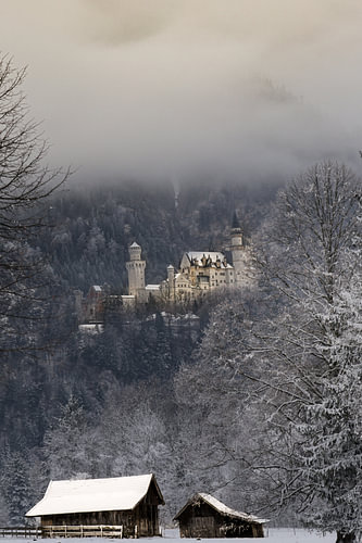 Neuschwanstein dans la brume hivernale