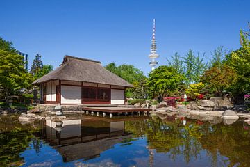 Japanse Tuin, Hamburg van Torsten Krüger