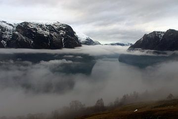 Fjorden Noorwegen, Aurland, Stegastein, Uitkijkplatform, bekroond, uitzicht. van Angela van den Berg