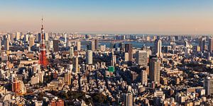 TOKYO 11 van Tom Uhlenberg