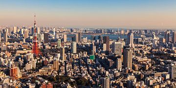 TOKYO 11 by Tom Uhlenberg