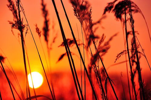 Coucher de soleil à Achterhoek sur la rivière Oude IJssel