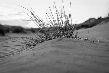 Ameland am Strand von Humphry Jacobs