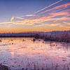 Het Vinne by Filip Boogaerts
