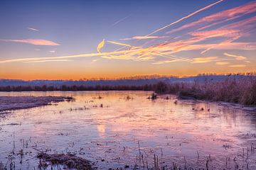 Het Vinne by Filip Boogaerts