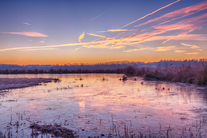 Het Vinne by Filip Boogaerts