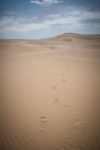 Footsteps in the sand of the dunes in Namibia