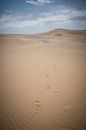 Voetstappen in het zand van de duinen in Namibie van Jille Zuidema thumbnail